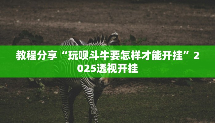 教程分享“玩呗斗牛要怎样才能开挂”2025透视开挂