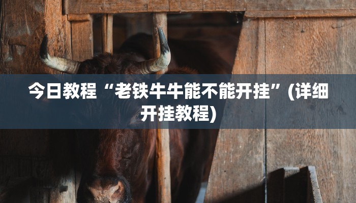 今日教程“老铁牛牛能不能开挂”(详细开挂教程)