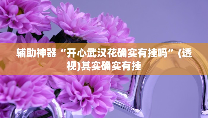 辅助神器“开心武汉花确实有挂吗”(透视)其实确实有挂