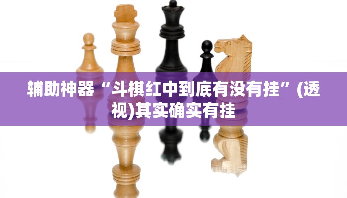 辅助神器“斗棋红中到底有没有挂”(透视)其实确实有挂