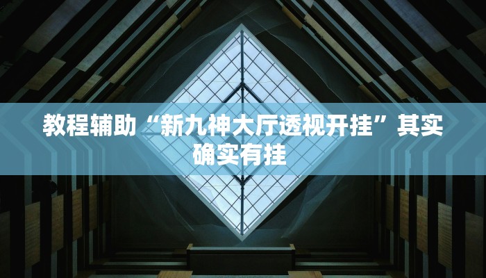 教程辅助“新九神大厅透视开挂”其实确实有挂 
