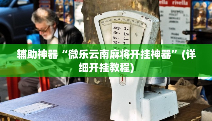 辅助神器“微乐云南麻将开挂神器”(详细开挂教程) 辅助神器“微乐云南麻将开挂神器”(详细开挂教程)