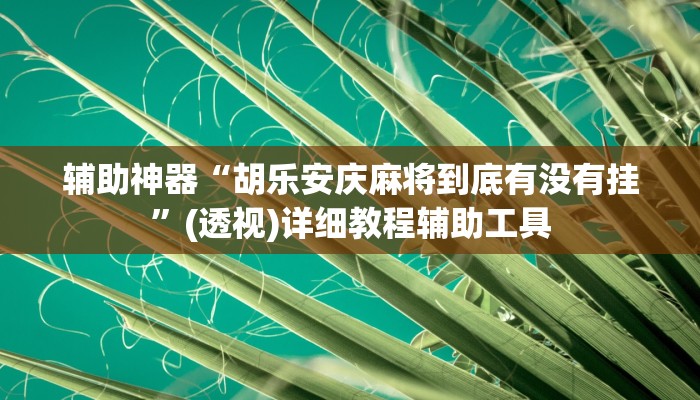 辅助神器“胡乐安庆麻将到底有没有挂”(透视)详细教程辅助工具