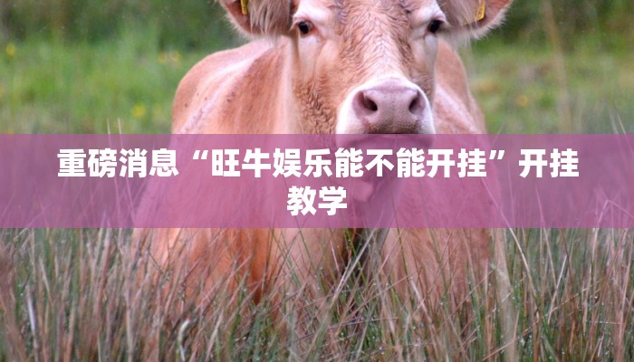 重磅消息“旺牛娱乐能不能开挂”开挂教学