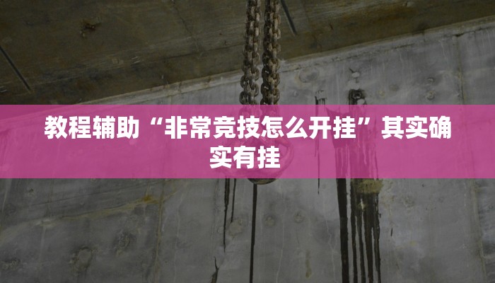 教程辅助“非常竞技怎么开挂”其实确实有挂 