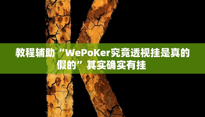 教程辅助“WePoKer究竟透视挂是真的假的”其实确实有挂 
