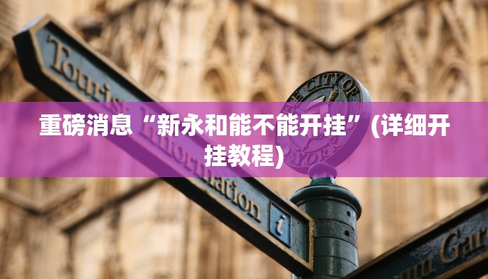 重磅消息“新永和能不能开挂”(详细开挂教程)
