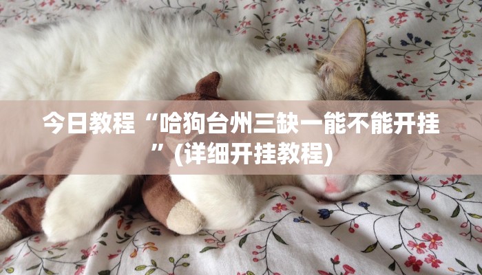 今日教程“哈狗台州三缺一能不能开挂”(详细开挂教程) 今日教程“哈狗台州三缺一能不能开挂”(详细开挂教程)