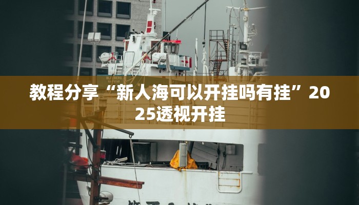 教程分享“新人海可以开挂吗有挂”2025透视开挂