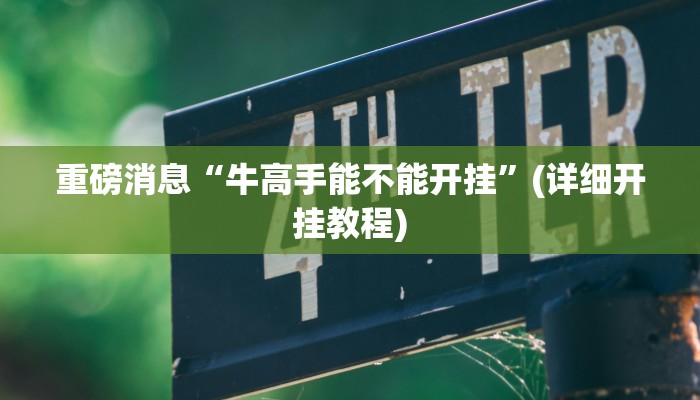 重磅消息“牛高手能不能开挂”(详细开挂教程) 重磅消息“牛高手能不能开挂”(详细开挂教程)